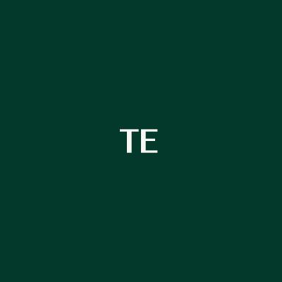 Tempore sint ut