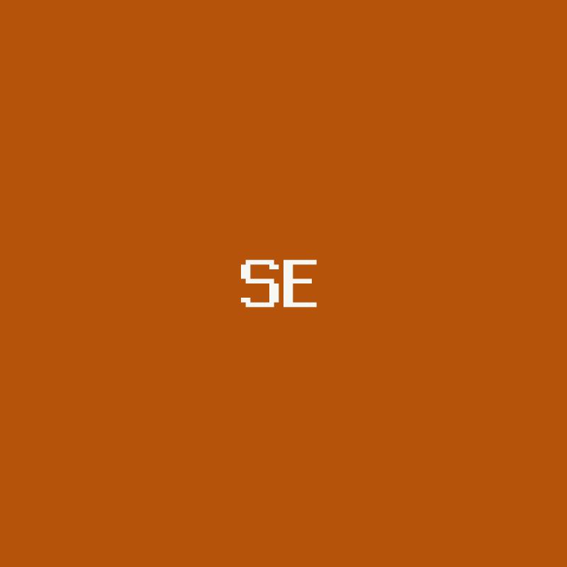 Sed aliquam omnis
